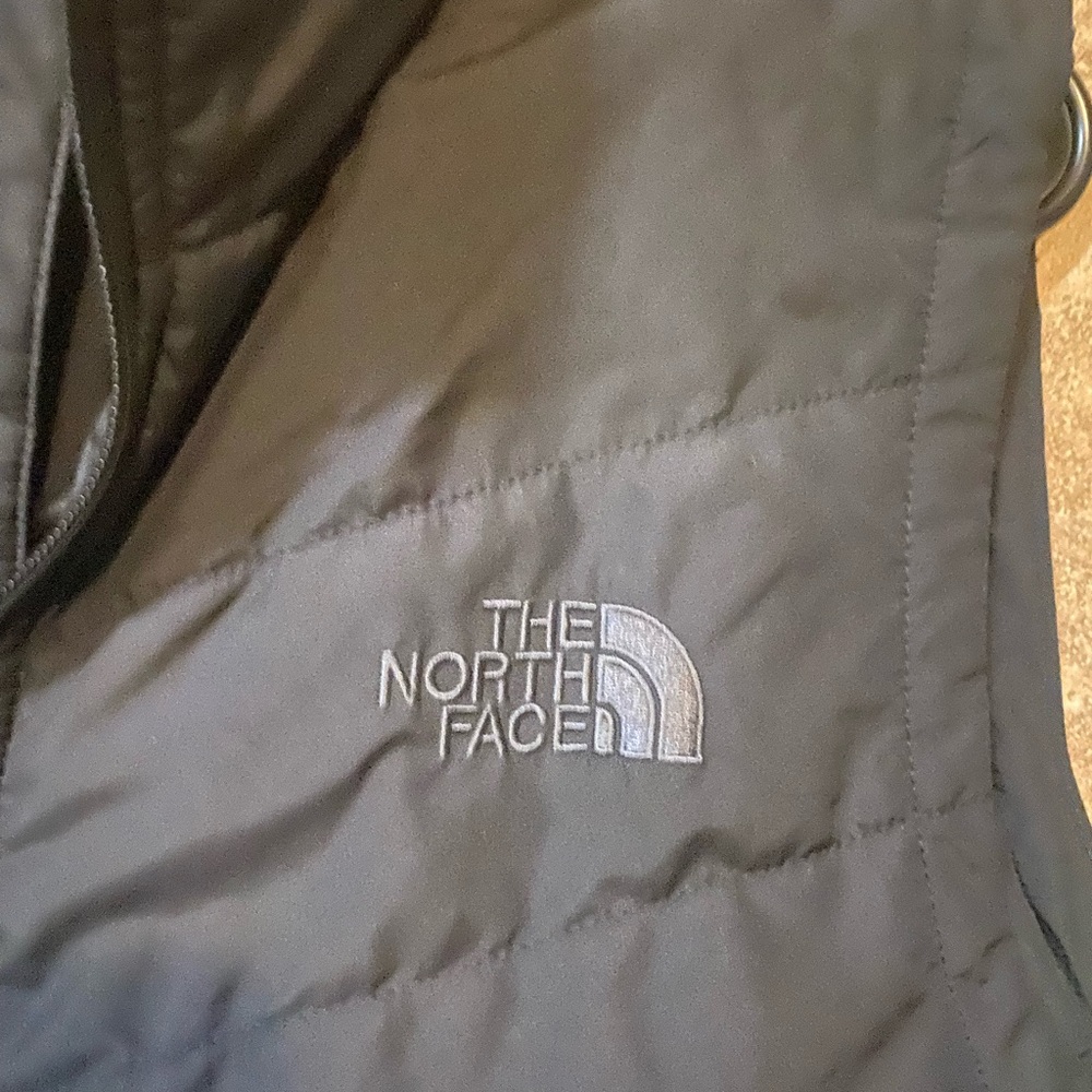 The north face vest
